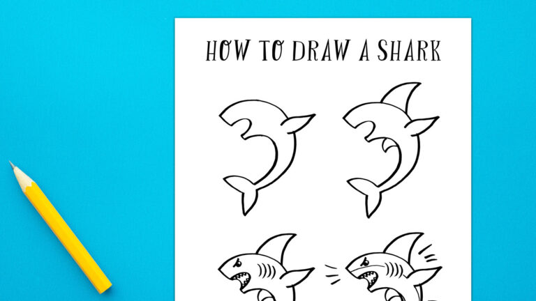 How to Draw a Shark Feature