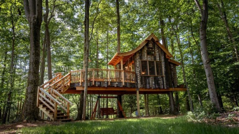 Tree house 4